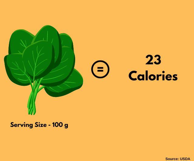 A graphic displaying a bunch of spinach with text displaying '23 Calories', emphasizing the low-calorie benefit of spinach.