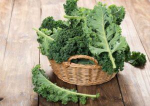 Is Kale Good For Weight Loss?