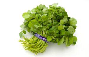 Is Watercress Good For Weight Loss?