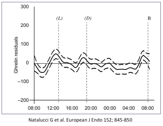 A line graph showing fluctuations in ghrelin levels, the hunger hormone, throughout the day and night, indicating meal (L) and dark (D) periods.
