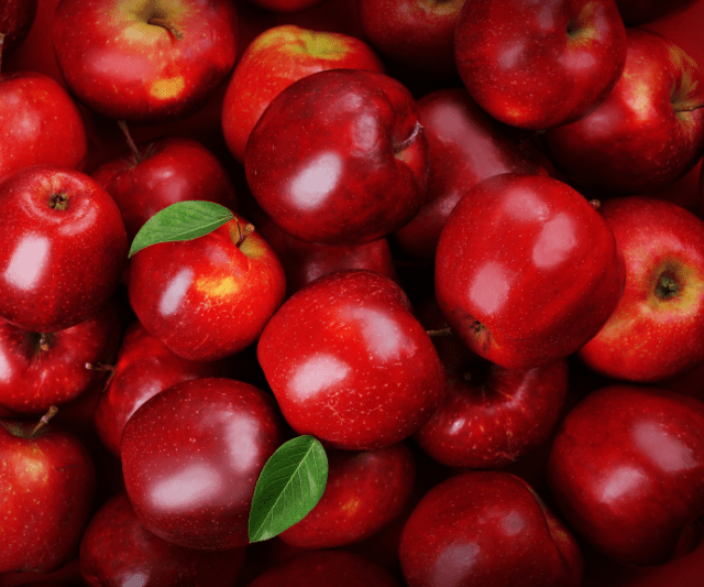A close-up of shiny red apples with leaves, freshly picked and full.